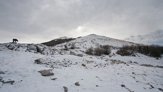 Đir do vrha Zečjak na sjevernom Velebitu, Foto: Leo Banić