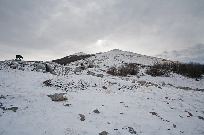 Đir do vrha Zečjak na sjevernom Velebitu, Foto: Leo Banić