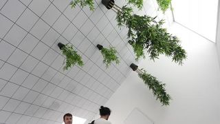 Interaktivni Muzej iluzija privukao velik broj posjetitelja koji su se zabavili. Photo: Zarko Basic/PIXSELL Interaktivni Muzej iluzija privukao velik broj posjetitelja koji su se zabavili. Photo: Zarko Basic/PIXSELL