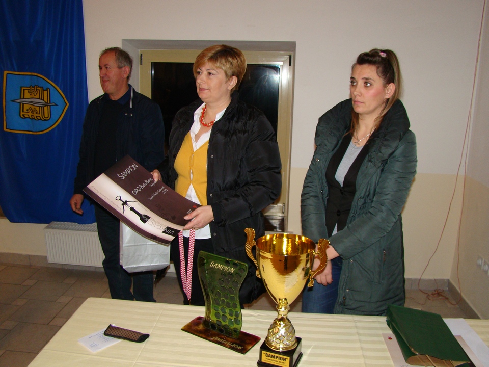 Degustacija vina u Stankovcima “Vinkovo 2016”, Foto: Marko Ledenko-Mane