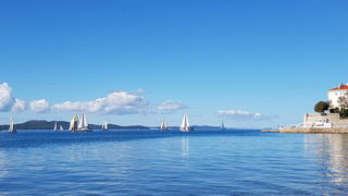 Zadarska Koka 2016. 22. listopada 2016. Foto: Mladen Malik Zadarska Koka 2016. 22. listopada 2016. Foto: Mladen Malik