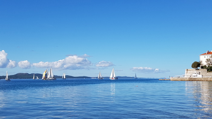 Zadarska Koka 2016. 22. listopada 2016. Foto: Mladen Malik Zadarska Koka 2016. 22. listopada 2016. Foto: Mladen Malik