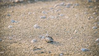 Đir po Sutomišćici Đir po Sutomišćici