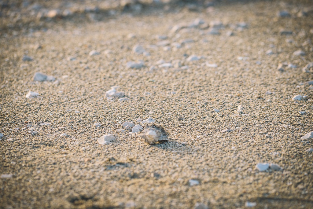 Đir po Sutomišćici Đir po Sutomišćici