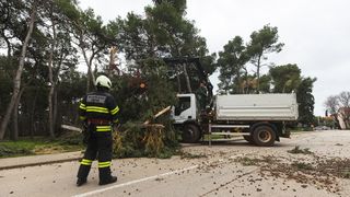 Olujno jugo oborilo stablo i električni stup