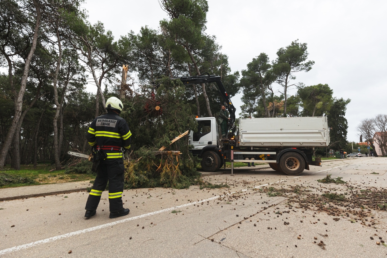 Olujno jugo oborilo stablo i električni stup