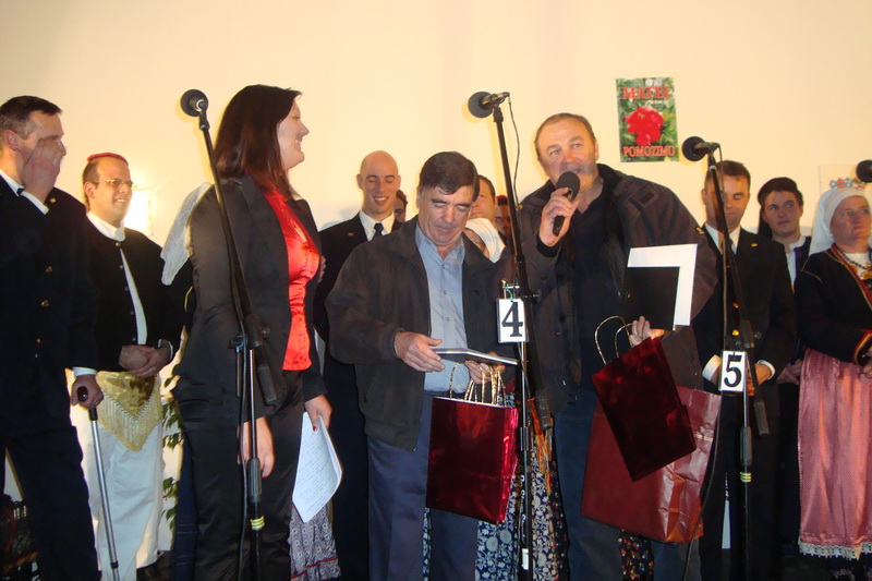 Koncert u Briševu Koncert u Briševu