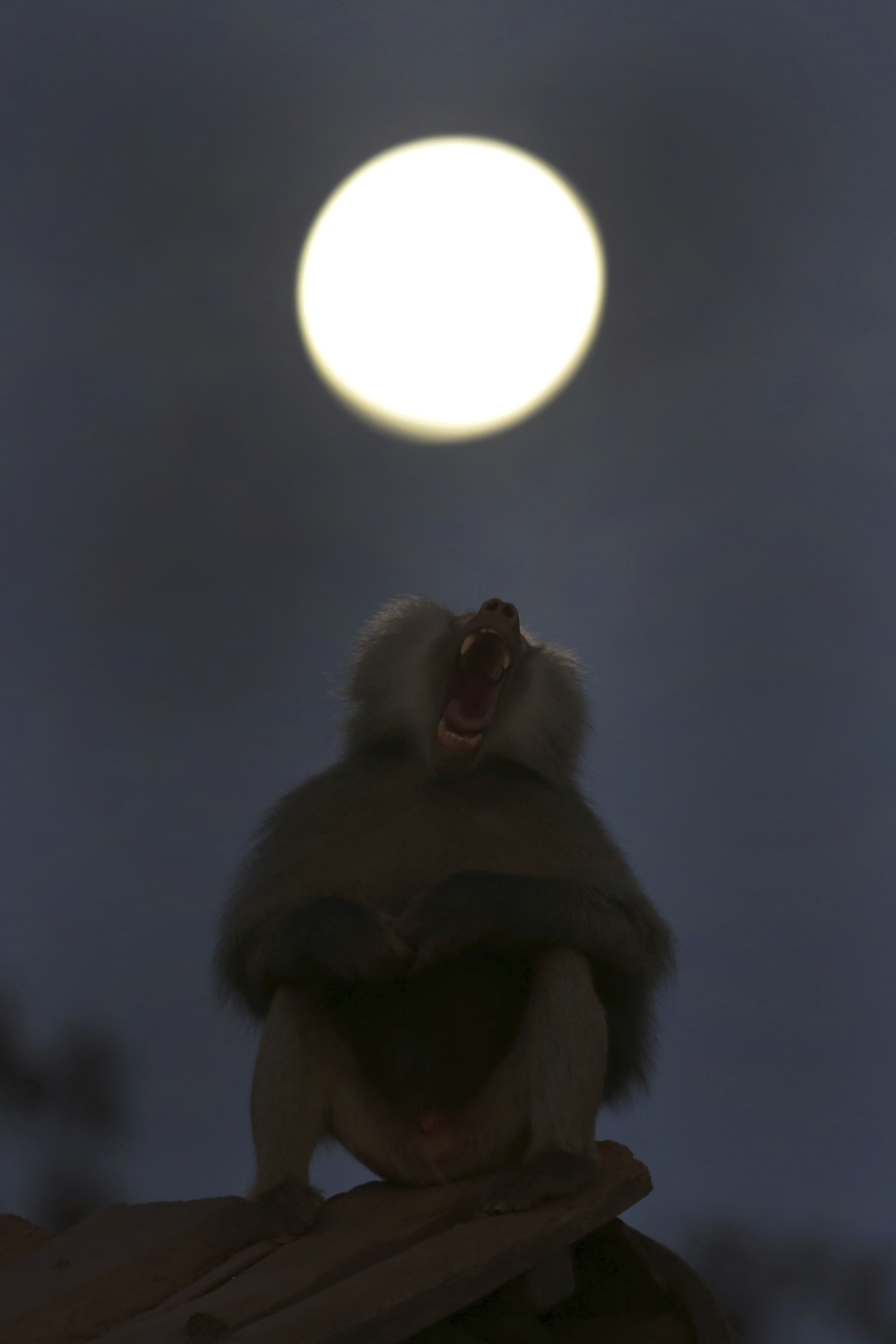 Pomrčina Mjeseca iz Brazila Pomrčina Mjeseca iz Brazila