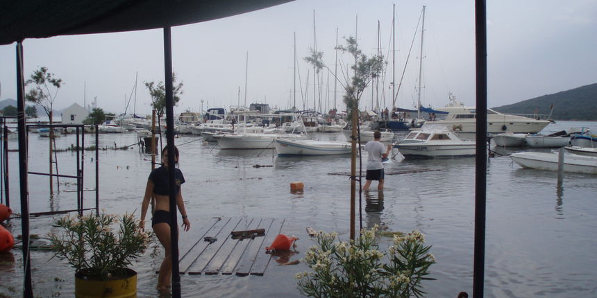 OLYMPUS DIGITAL CAMERA OLYMPUS DIGITAL CAMERA