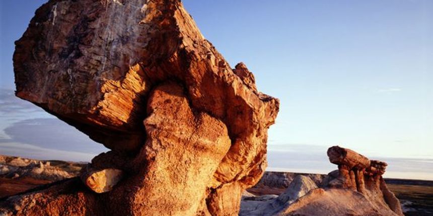 Petrified forest (National geographic)