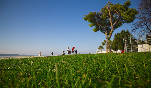 Đir po gradu, 25. studenog 2011. (foto:Saša Čuka)