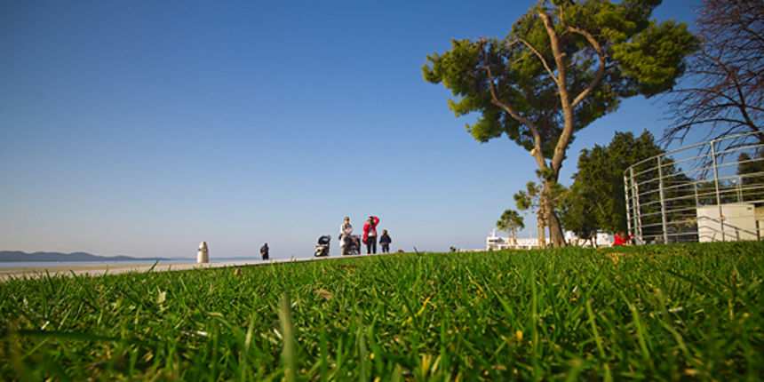 Đir po gradu, 25. studenog 2011. (foto:Saša Čuka)