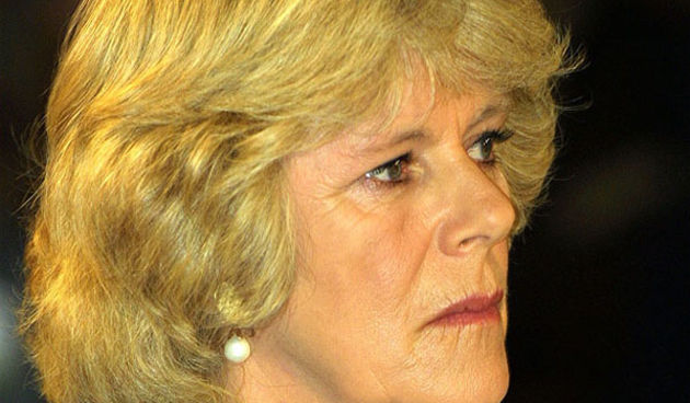 Image 1201299 (auto)