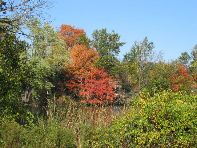 Image 1182951 (auto) Image 1182951 (auto)