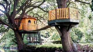 Kuće na drveću