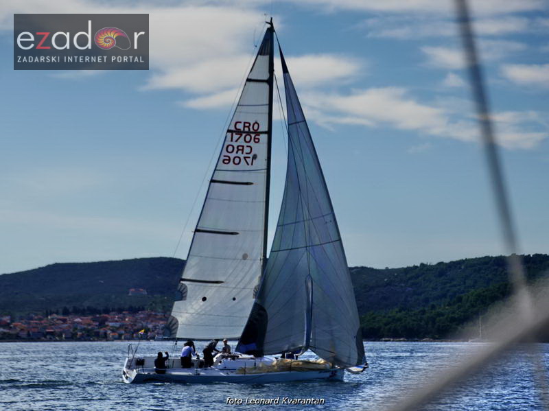 Zadarska koka 2017. Zadarska koka 2017.