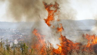 Zadar, 270810
Veliki pozar izbio je danas popodne u Zadru na podrucju izmedju kvarta Bili brig i put Bokanjca. Vatrogasci su i dalje na terenu te se bore sa vatrom da ne dodje do obliznjih kuca.
Foto: Jure Miskovic / CROPIX
