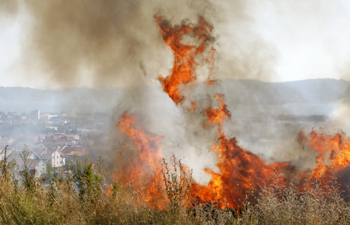 Zadar, 270810
Veliki pozar izbio je danas popodne u Zadru na podrucju izmedju kvarta Bili brig i put Bokanjca. Vatrogasci su i dalje na terenu te se bore sa vatrom da ne dodje do obliznjih kuca.
Foto: Jure Miskovic / CROPIX