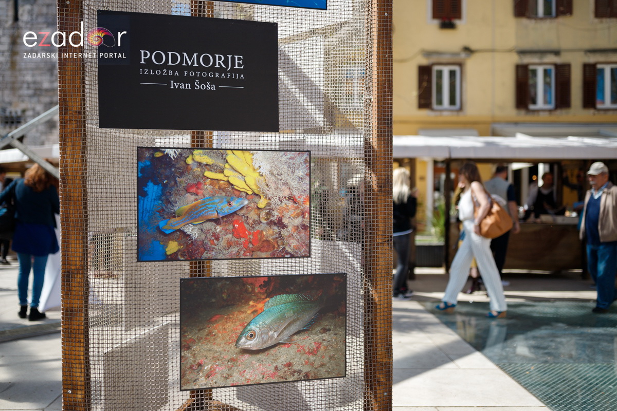 Đir po gradu, subotnja špica 6. travnja 2019. Đir po gradu, subotnja špica 6. travnja 2019.