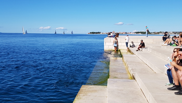 Zadarska Koka 2016. 22. listopada 2016. Foto: Mladen Malik Zadarska Koka 2016. 22. listopada 2016. Foto: Mladen Malik