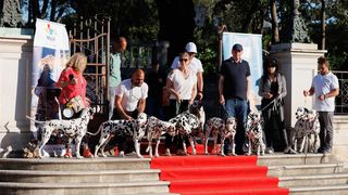 Red Carpet Dalmatian Walk @Trg pet bunara Red Carpet Dalmatian Walk @Trg pet bunara
