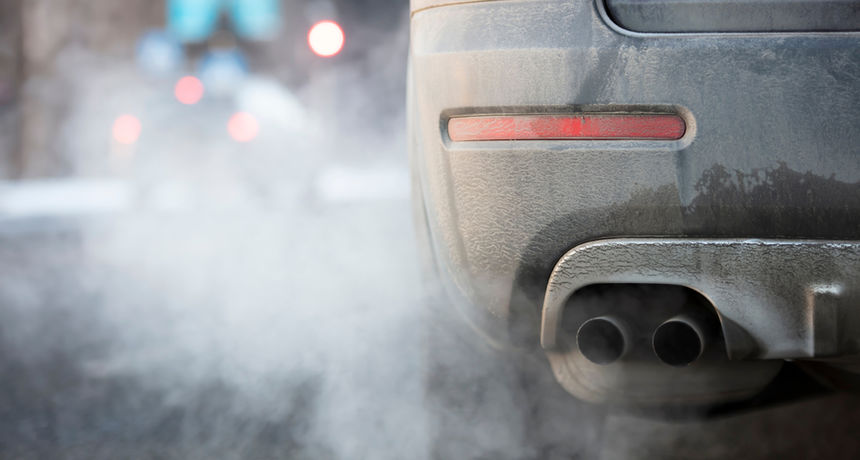 Ispušni plinovi i usoljena hrana