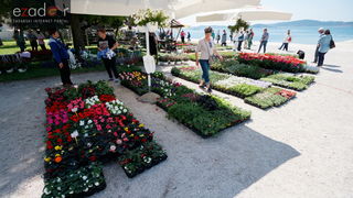 Đir po gradu, četvrtak 19. travnja 2018. Đir po gradu, četvrtak 19. travnja 2018.