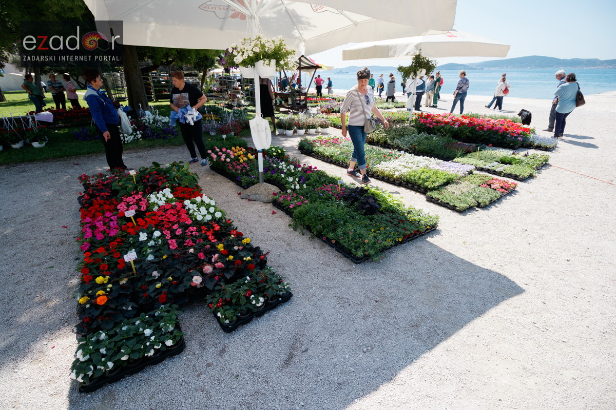 Đir po gradu, četvrtak 19. travnja 2018. Đir po gradu, četvrtak 19. travnja 2018.