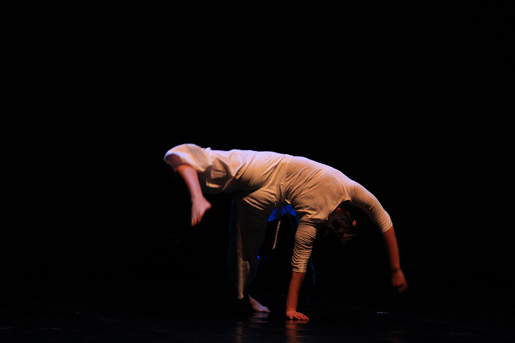 Večer Za Nives, plesni ansambli, foto: Iva Perinčić