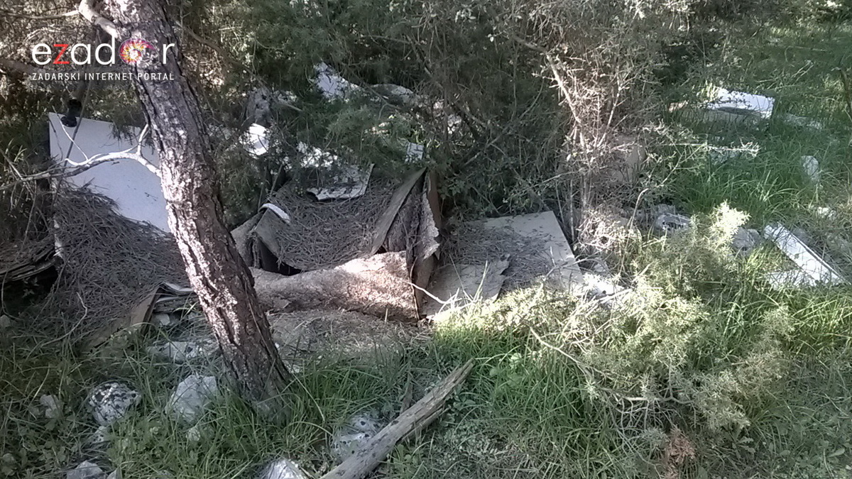 Ovako izgleda Park šuma Musapstan nakon akcije “Zelena čistka” Ovako izgleda Park šuma Musapstan nakon akcije “Zelena čistka”