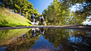 Kupanje na plaži Kolovare 8. listopada (foto:Saša Čuka)