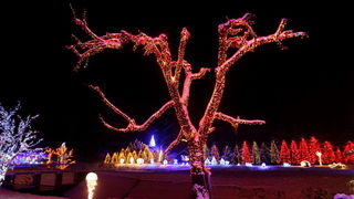 Cazma, 161209.
Grabovnica pokraj Cazme – Bozicna prica obitelji Salaj.
Zlatko Salaj ukrasio je i ove godine cijelo imanje s oko 1 milijun lampica. 
Za posjetitelje ce imanje biti otvoreno od subote 19.12. – 06. sijecnja od 17 h -21h.
Foto: Goran Mehkek /