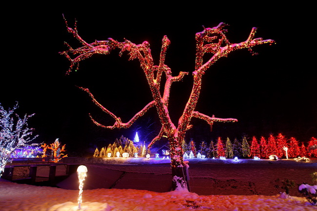 Cazma, 161209.
Grabovnica pokraj Cazme – Bozicna prica obitelji Salaj.
Zlatko Salaj ukrasio je i ove godine cijelo imanje s oko 1 milijun lampica. 
Za posjetitelje ce imanje biti otvoreno od subote 19.12. – 06. sijecnja od 17 h -21h.
Foto: Goran Mehkek /