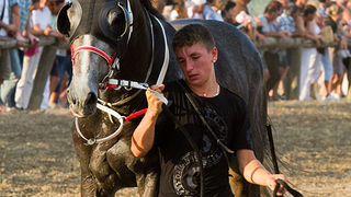 Polača: 14. Međunarodne konjičke utrke “Oluja 95”, Foto: Leo Banić Polača: 14. Međunarodne konjičke utrke “Oluja 95”, Foto: Leo Banić