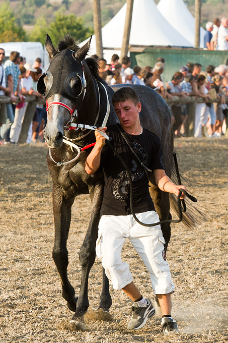 Polača: 14. Međunarodne konjičke utrke “Oluja 95”, Foto: Leo Banić Polača: 14. Međunarodne konjičke utrke “Oluja 95”, Foto: Leo Banić