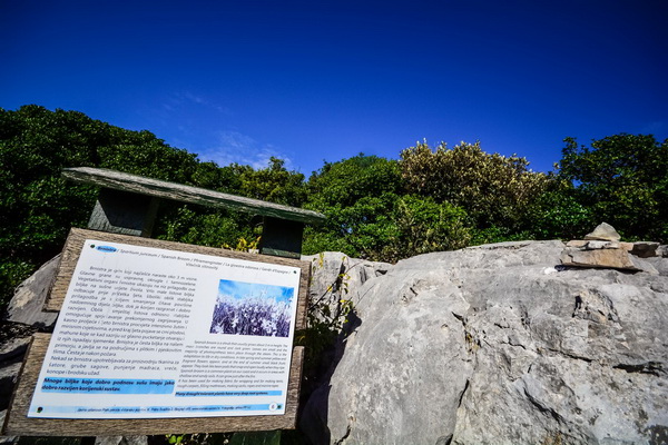 Nedjeljni đir do Parka prirode Vransko jezero i vidikovca Kamenjak, foto: Iva Perinčić Nedjeljni đir do Parka prirode Vransko jezero i vidikovca Kamenjak, foto: Iva Perinčić