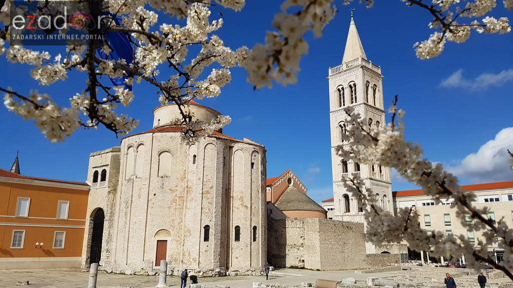 Proljeće u Zadru: rasvjetala priroda