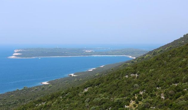 Ljetni dana na dugootočkoj plaži Sakarun, biseru Mediterana s prekrasnim tirkiznim morem, Foto: Filip Brala/PIXSELL