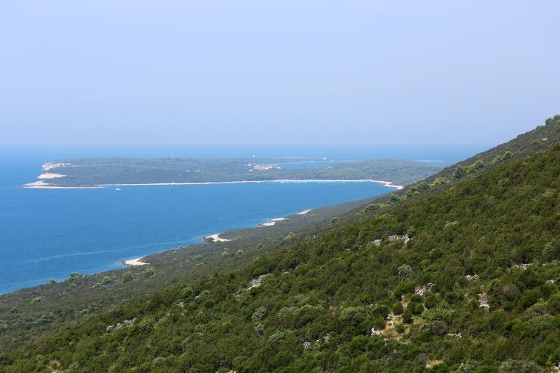Ljetni dana na dugootočkoj plaži Sakarun, biseru Mediterana s prekrasnim tirkiznim morem, Foto: Filip Brala/PIXSELL Ljetni dana na dugootočkoj plaži Sakarun, biseru Mediterana s prekrasnim tirkiznim morem, Foto: Filip Brala/PIXSELL