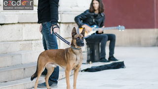 Đir po gradu, četvrtak 30. studenog 2017. Đir po gradu, četvrtak 30. studenog 2017.