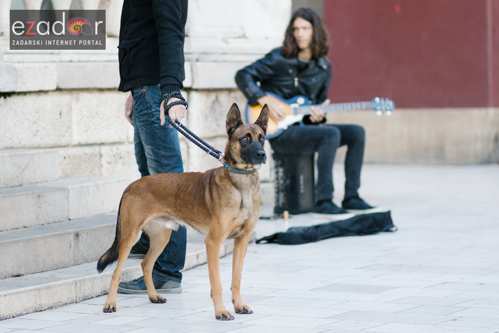 Đir po gradu, četvrtak 30. studenog 2017. Đir po gradu, četvrtak 30. studenog 2017.