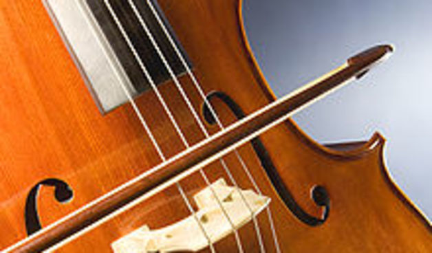 Violoncelo