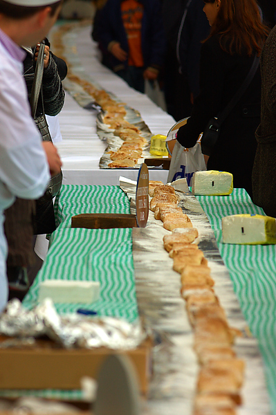 Advent u Zadru 2008. – Savijaca Krsevan