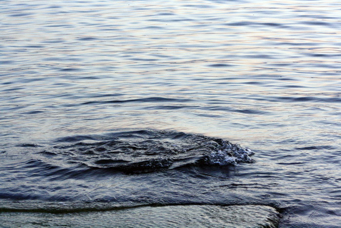 More, ljudi, brodovi… 6.rujna 2010, Foto: Mladen Malik