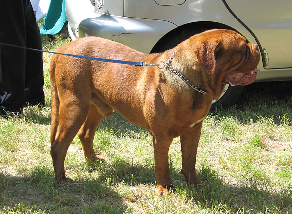 Image 1171043 (auto)