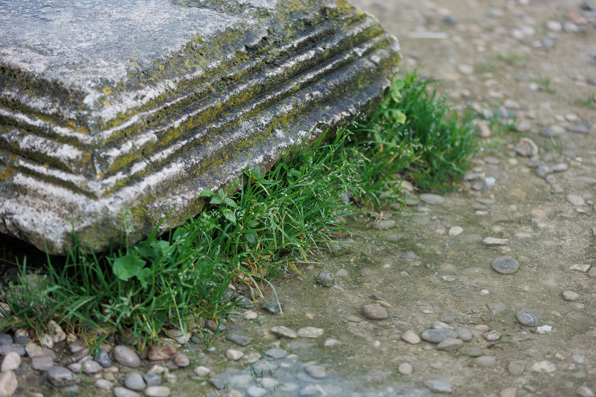 Đir po gradu, 25. veljače 2025. Đir po gradu, 25. veljače 2025.