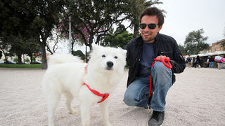 Subotnji šušur u gradu 27. travnja 2013. Foto: Mia Čop Subotnji šušur u gradu 27. travnja 2013. Foto: Mia Čop