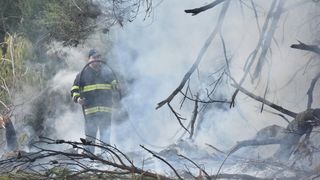 Veliki požar kod Ražanca uz vatrogasce gasili kanader i air tractor
