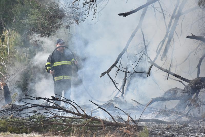 Veliki požar kod Ražanca uz vatrogasce gasili kanader i air tractor