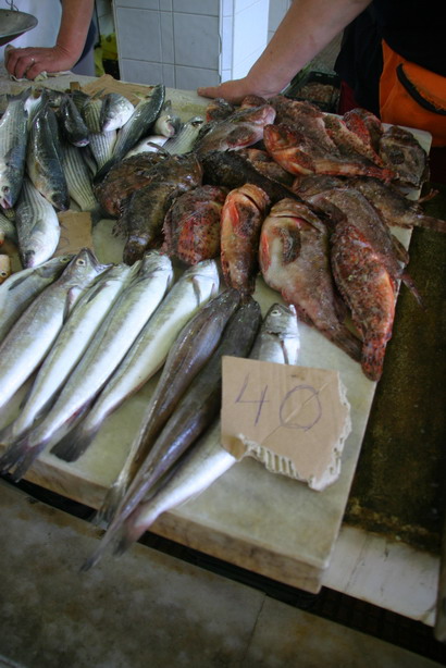 Image 1201839 (auto)